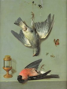 静物与鸟类和昆虫，1713年